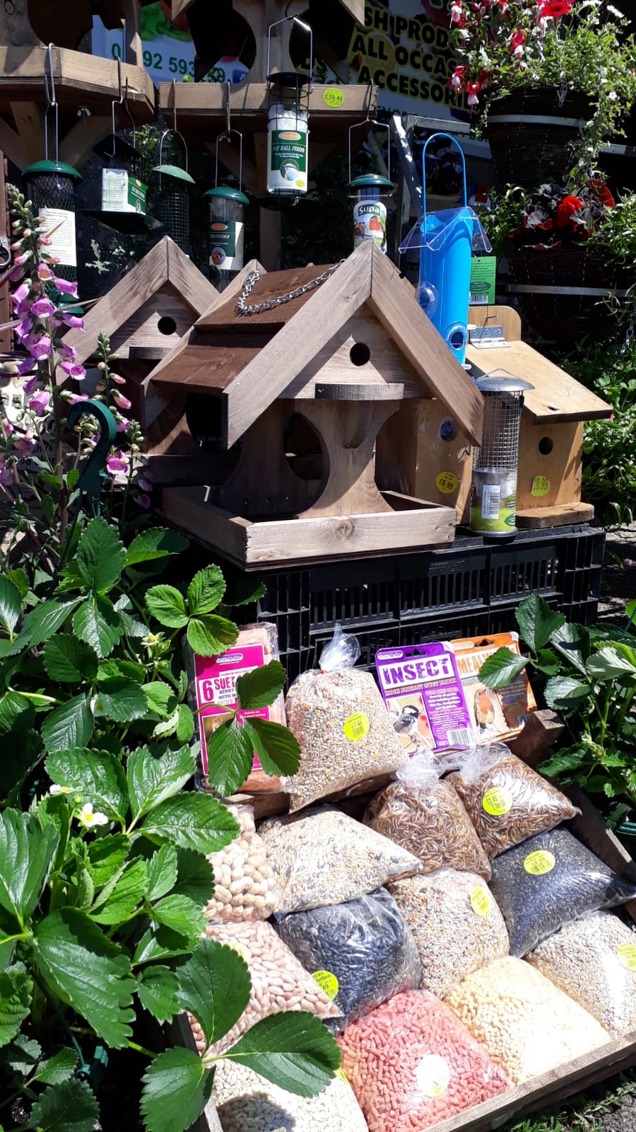 Bird Seed and more